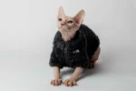 Teplý kožíšek pro kočky sphynx černý