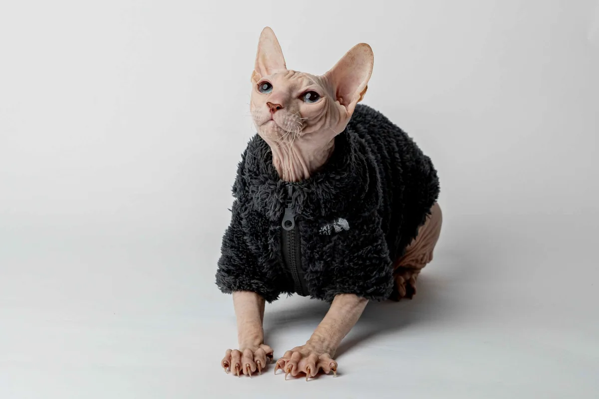 Teplý kožíšek pro kočky sphynx černý Teplý kožíšek pro kočky sphynx černý