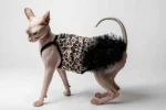 Elegantní večerní šaty pro kočičí slečnu plemene sphynx leopardí vzor