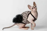 Elegantní večerní šaty pro kočičí slečnu plemene sphynx leopardí vzor
