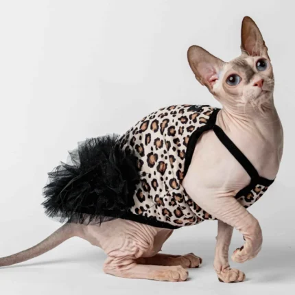 Elegantní večerní šaty pro kočičí slečnu plemene sphynx leopardí vzor