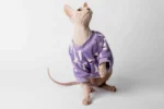 Velurová mikina pro kočky sphynx fialová s mašlemi