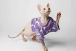 Velurová mikina pro kočky sphynx fialová s mašlemi