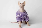 Velurová mikina pro kočky sphynx fialová s mašlemi