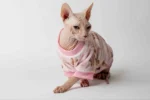 Velurová mikina pro kočky sphynx růžová s medvídky