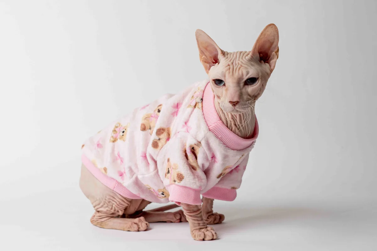 Velurová mikina pro kočky sphynx růžová s medvídky Velurová mikina pro kočky sphynx růžová s medvídky