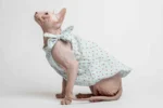 Lehké a stylové šaty pro kočky sphynx s tulipány
