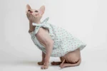 Lehké a stylové šaty pro kočky sphynx s tulipány