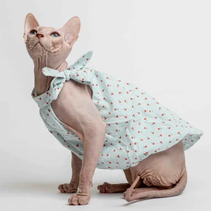 Lehké a stylové šaty pro kočky sphynx s tulipány