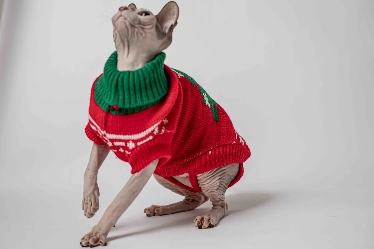 Klasický svetr s rolákem pro kočky sphynx – Vánoční stromeček Klasický svetr s rolákem pro kočky sphynx – Vánoční stromeček