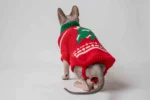 Klasický svetr s rolákem pro kočky sphynx – Vánoční stromeček