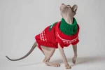 Klasický svetr s rolákem pro kočky sphynx – Vánoční stromeček