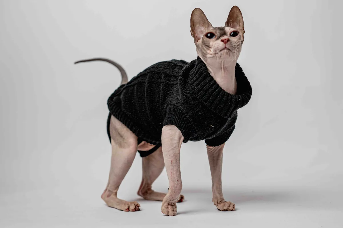 Svetr s rolákem pro kočky sphynx černý Svetr s rolákem pro kočky sphynx černý