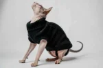 Svetr s rolákem pro kočky sphynx černý