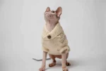 Svetřík s rolákem pro kočky sphynx Deluxe