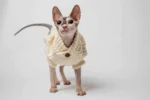 Svetřík s rolákem pro kočky sphynx Deluxe