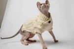 Svetřík s rolákem pro kočky sphynx Deluxe