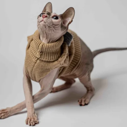 Svetřík s rolákem pro kočky sphynx Motýlek