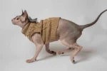 Svetřík s rolákem pro kočky sphynx Motýlek