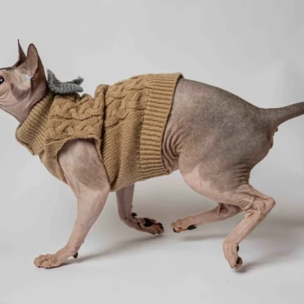 Svetřík s rolákem pro kočky sphynx Motýlek