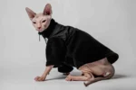 Hřejivá mikina na zip pro kočky sphynx – The Cat Face – černá