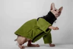 Hřejivá mikina na zip pro kočky sphynx – The Cat Face – výrazná olivová