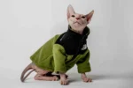 Hřejivá mikina na zip pro kočky sphynx – The Cat Face – výrazná olivová