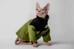 Hřejivá mikina na zip pro kočky sphynx – The Cat Face – výrazná olivová