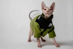 Hřejivá mikina na zip pro kočky sphynx – The Cat Face – výrazná olivová