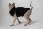 Vesta s kapucí pro kočky sphynx – Baby Best