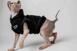 Vesta s kapucí pro kočky sphynx – Baby Best