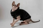 Vesta s kapucí pro kočky sphynx – Baby Best