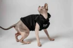 Vesta s kapucí pro kočky sphynx – Baby Best