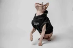 Vesta s kapucí pro kočky sphynx – Baby Best