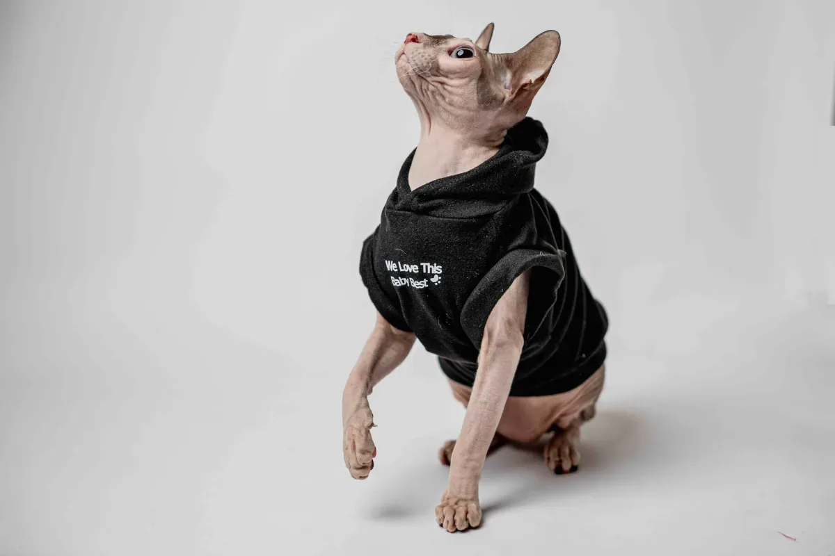 Vesta s kapucí pro kočky sphynx – Baby Best Vesta s kapucí pro kočky sphynx – Baby Best